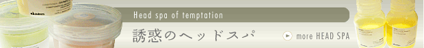���f�̃w�b�h�X�p